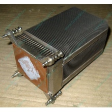 Радиатор HP p/n 433974-001 для ML310 G4 (с тепловыми трубками) 434596-001 SPS-HTSNK (Апрелевка)