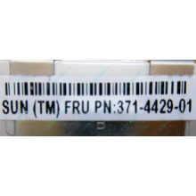 Серверная память SUN (FRU PN 371-4429-01) 4096Mb (4Gb) DDR3 ECC в Апрелевке, память для сервера SUN FRU P/N 371-4429-01 (Апрелевка)