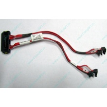 SATA-кабель для корзины HDD HP 451782-001 459190-001 для HP ML310 G5 (Апрелевка)