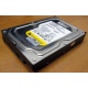 Жесткий диск 160Gb WD WD1602ABKS SATA (Апрелевка)