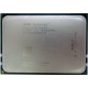 AMD Opteron 6128 OS6128WKT8EGO (Апрелевка)