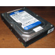 Жесткий диск 500Gb WD WD5000AAKX HP 634605-003 613208-001 7.2k SATA (Апрелевка)