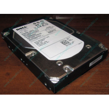 Жесткий диск 300Gb 15k Dell 9CH066-050 6G SAS (Seagate Cheetach ST3300656SS 15K.6) - Апрелевка